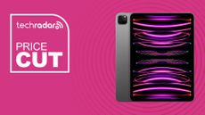 Apple 11-inch iPad Pro 2022 4th generation in space gray on pink background with price cut sign